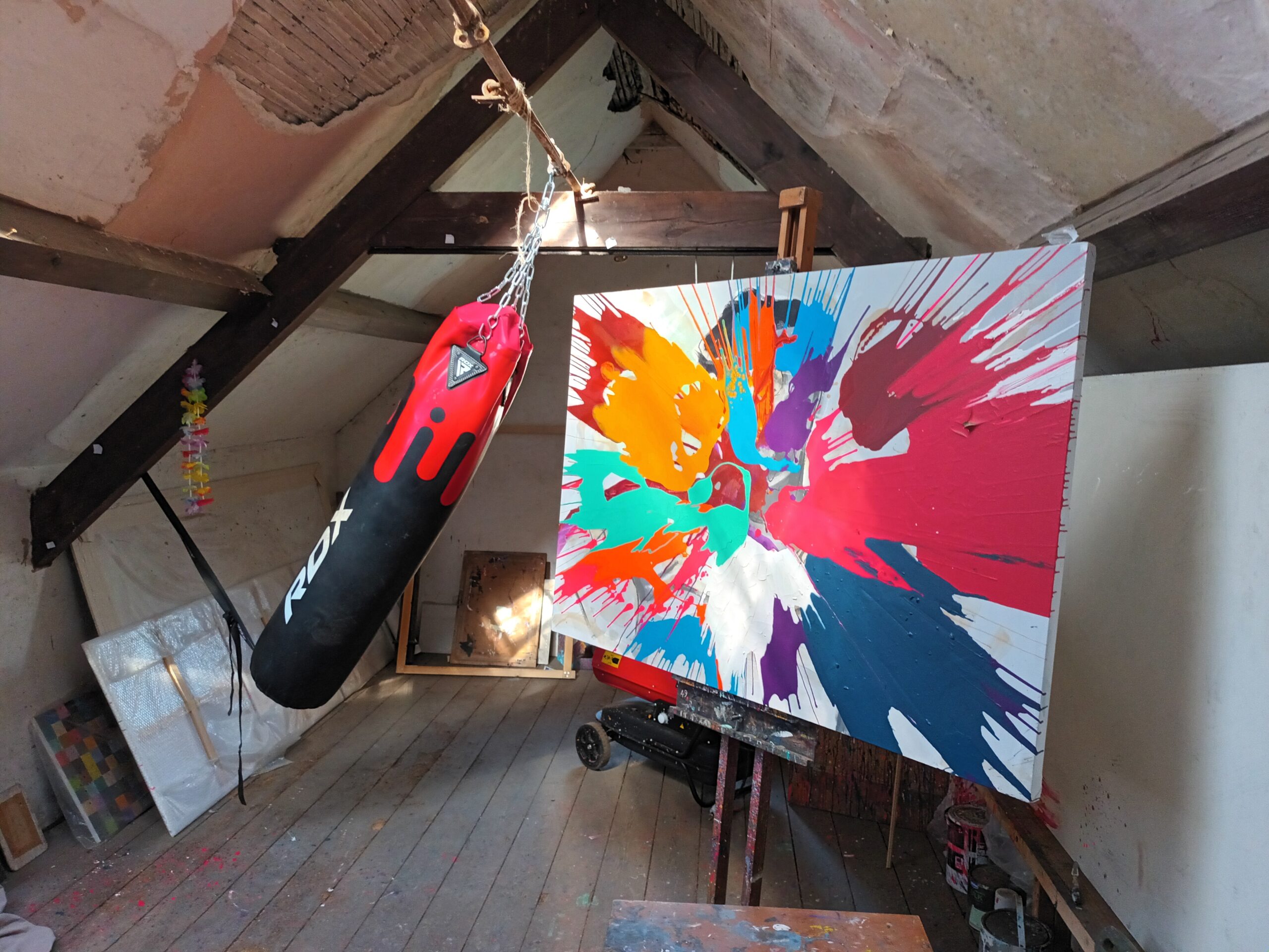 studio dedman kick bag and painting BGD