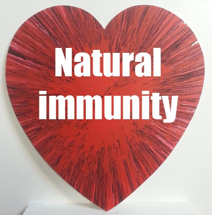 Alan Dedman red heart metamorphosis of covid natural immunity